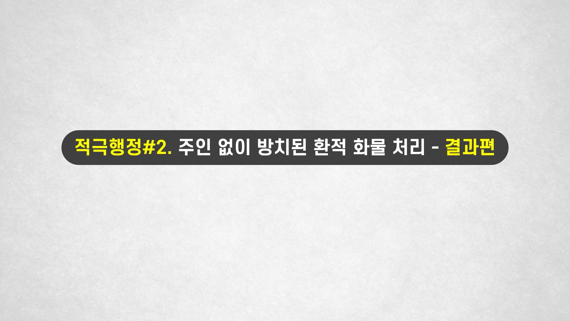 [관세청] 주인 없이 방치된 환적 화물 처리_결과편